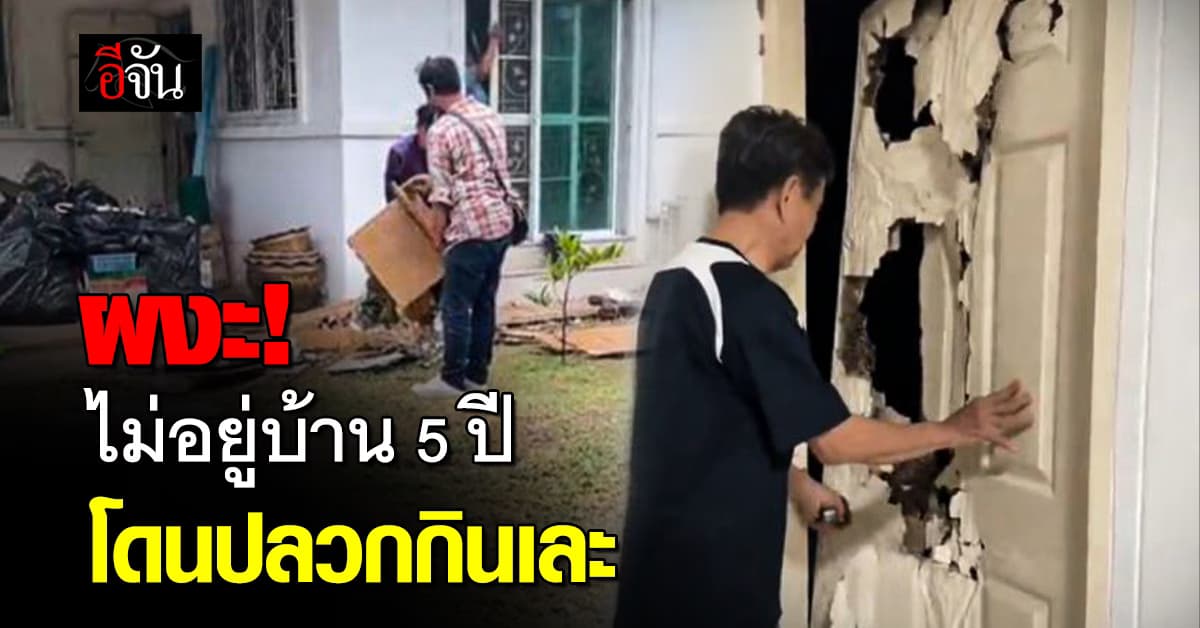 แทบล้มทั้งยืน! สาวไม่อยู่บ้าน 5 ปี เจอปลวกครอบครองปรปักษ์ 