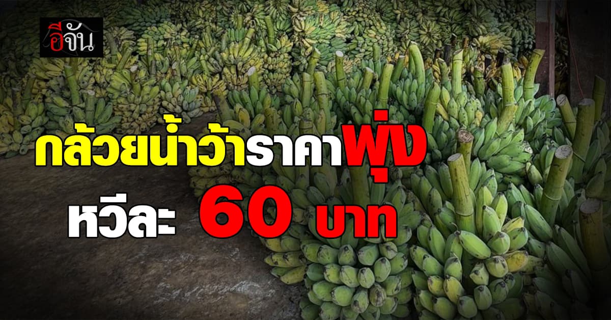 เมืองไทยอะไรก็แพง กล้วยน้ำว้า ราคาพุ่ง หวีละ 60 บาท
