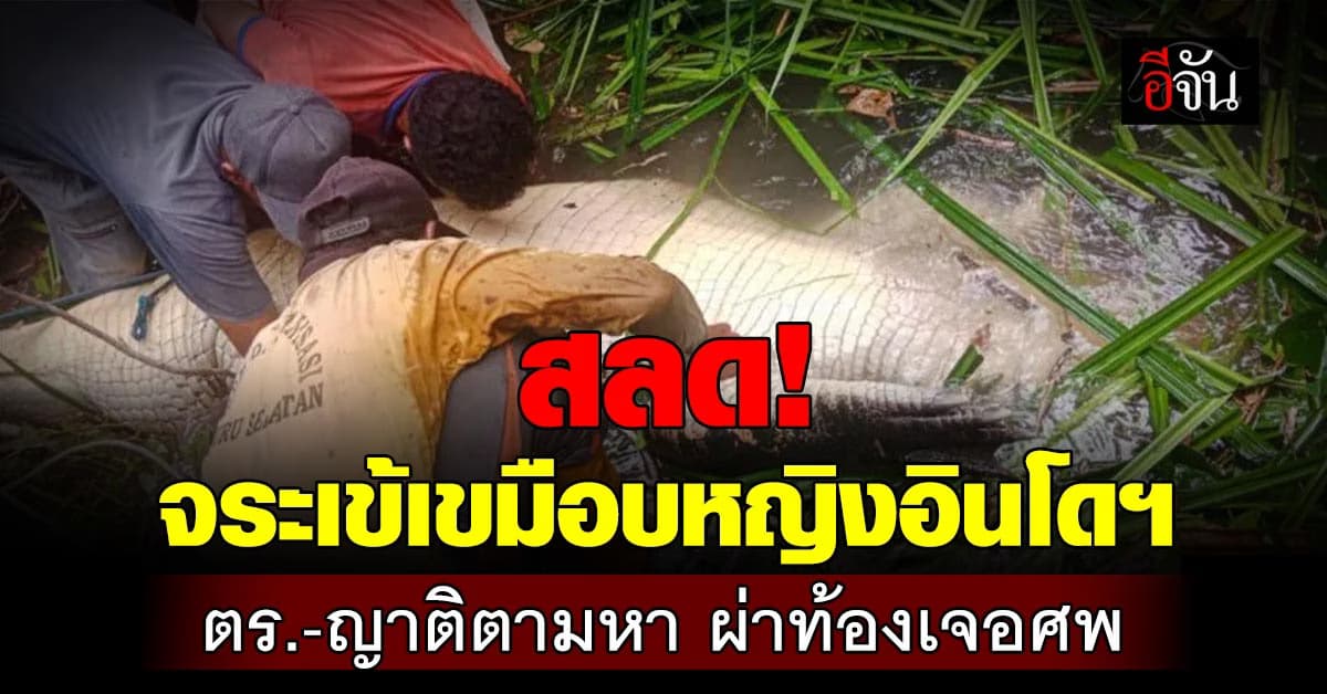 สลด! จระเข้เขมือบหญิงอินโดนีเซีย ตร.-ญาติตามหา ผ่าท้องเจอศพ