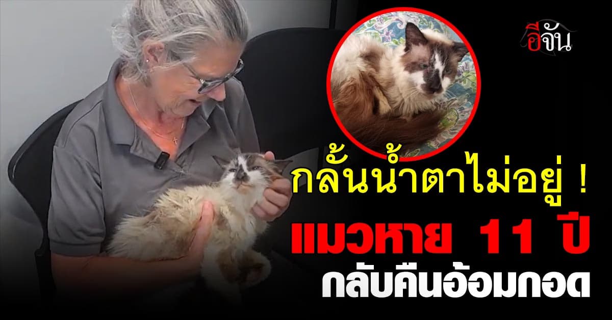 กลั้นน้ำตาไม่อยู่ สาวอเมริกันดีใจเจอแมว หลังหายจากบ้าน 11 ปีก่อน