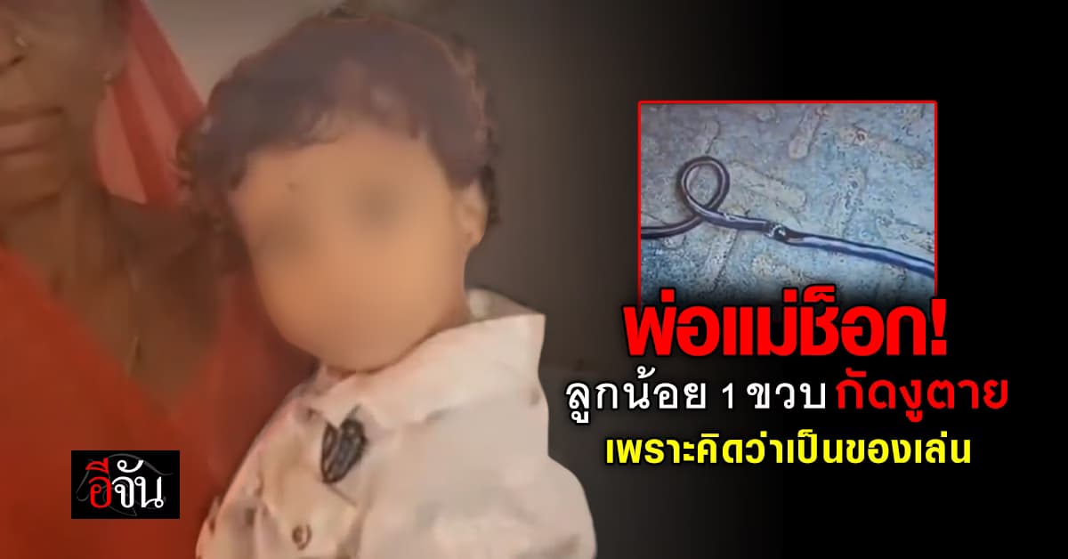 พ่อแม่ช็อก! เด็กชายอินเดีย วัย 1 ขวบ กัดงูตาย เพราะคิดว่าเป็นของเล่น 