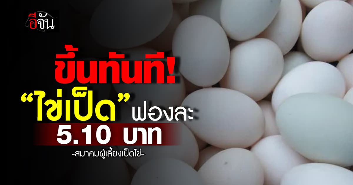 มีผลวันนี้! ไข่เป็ดปรับราคาขึ้น 10 สตางค์ เป็นฟองละ 5.10 บาท  