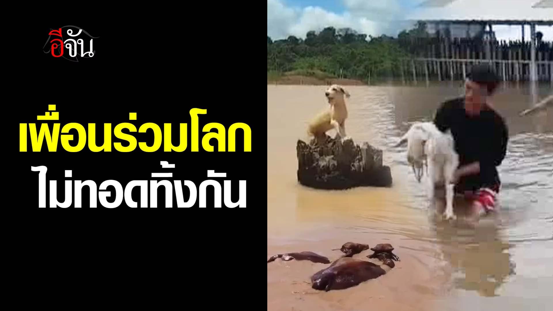 🎬 เพื่อนร่วมโลก ไม่ทอดทิ้งกัน