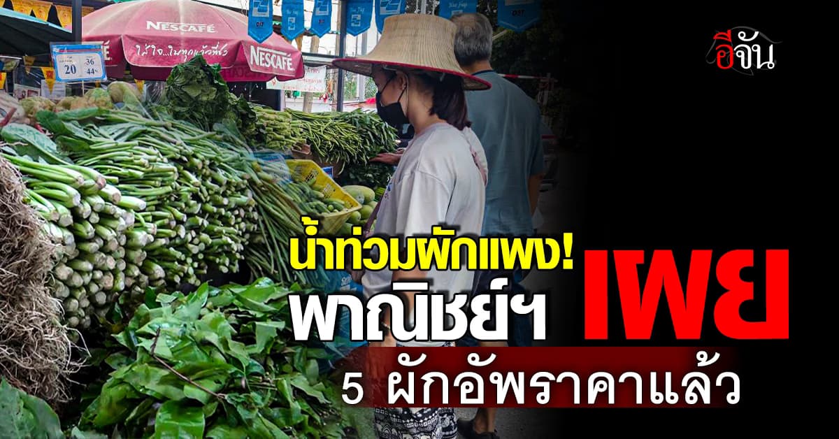 พาณิชย์ฯ พบผักสด 5 ชนิด “อัพราคา” หลังฝนตกชุก-น้ำท่วมหนัก