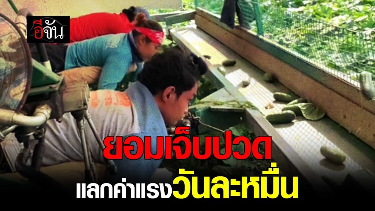 🎬 งานที่เหมาะกับคนชอบนอน แต่แลกค่าแรงวันละหมื่น