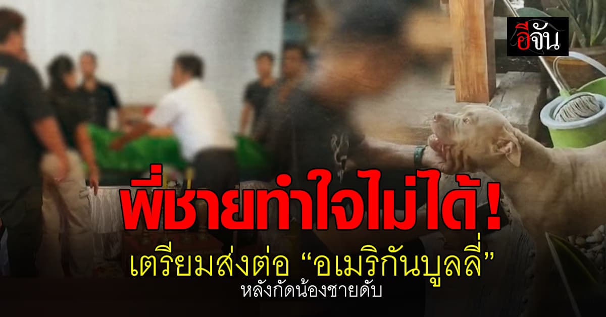 พี่ชายทำใจไม่ได้! เตรียมส่งต่อ “อเมริกันบูลลี่” หลังกัดน้องชายดับ