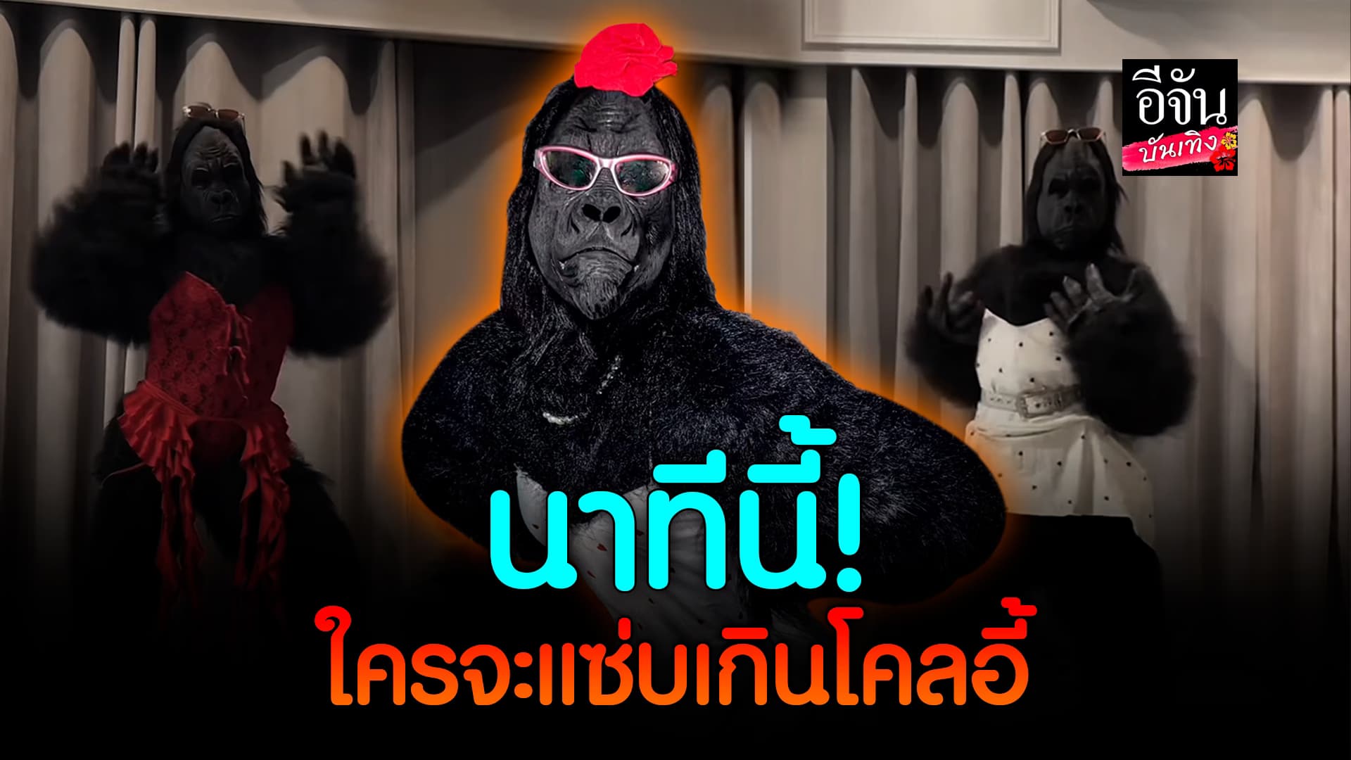🎬คลิปบันเทิง : ติดแกรมฉ่ำ! โคลอี้ กอริลลาสายแดนซ์ ตัวแม่มาแรง จะถูกจะแพงขอแดงไว้ก่อน