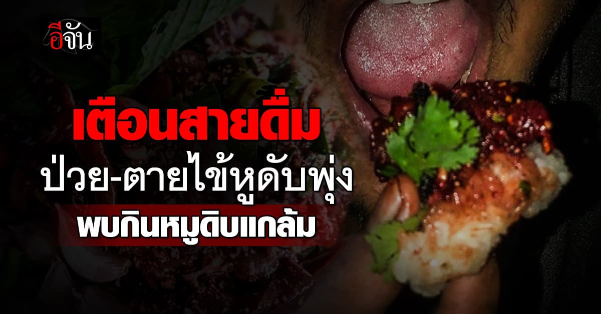 สคร.9 เตือนสายเมา เปิบหมูดิบ เสี่ยงตายไข้หูดับ พบป่วย-ตายพุ่ง