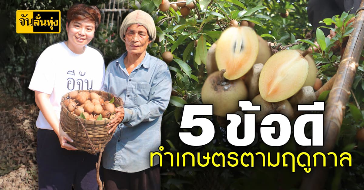 5 ข้อดี ทำเกษตรตามฤดูกาล   