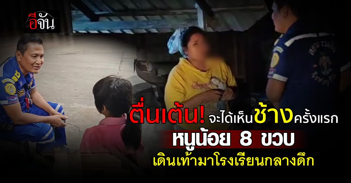 ตื่นเต้น! จะได้เห็นช้างครั้งแรก หนูน้อยวัย 8 ขวบ กลัวไม่ทันรถ เดินเท้ามาโรงเรียนกลางดึก 