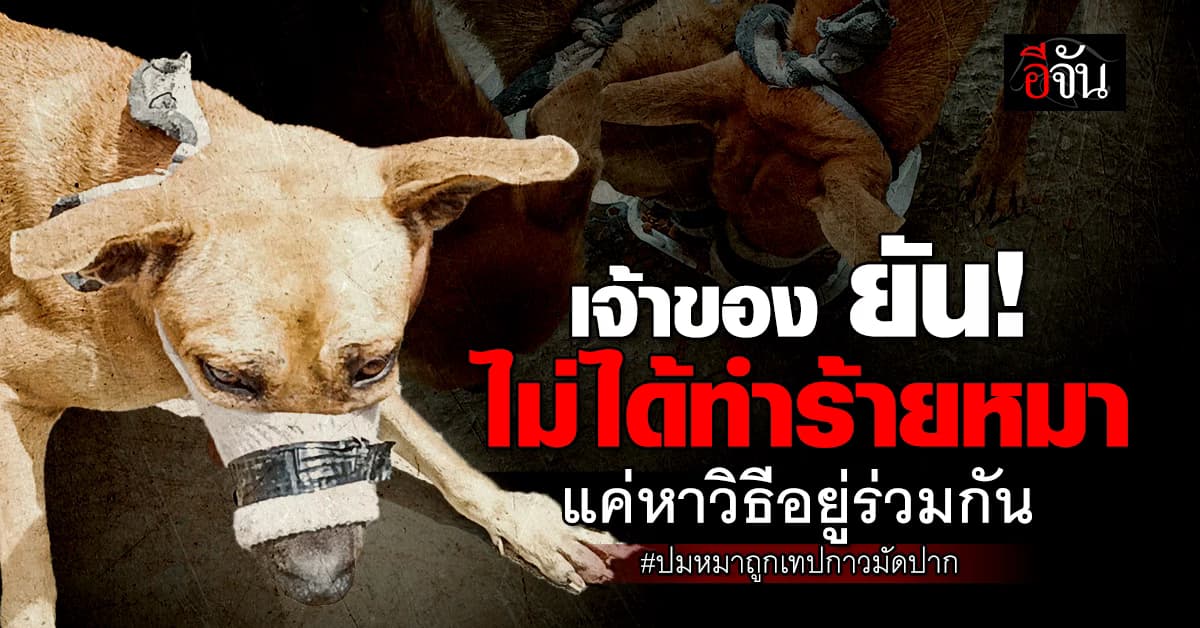 เจ้าของ แจงปมดราม่า หมาถูกเทปกาวมัดปาก แค่หาวิธีอยู่ร่วมกัน ยัน! ไม่ได้ทำร้าย