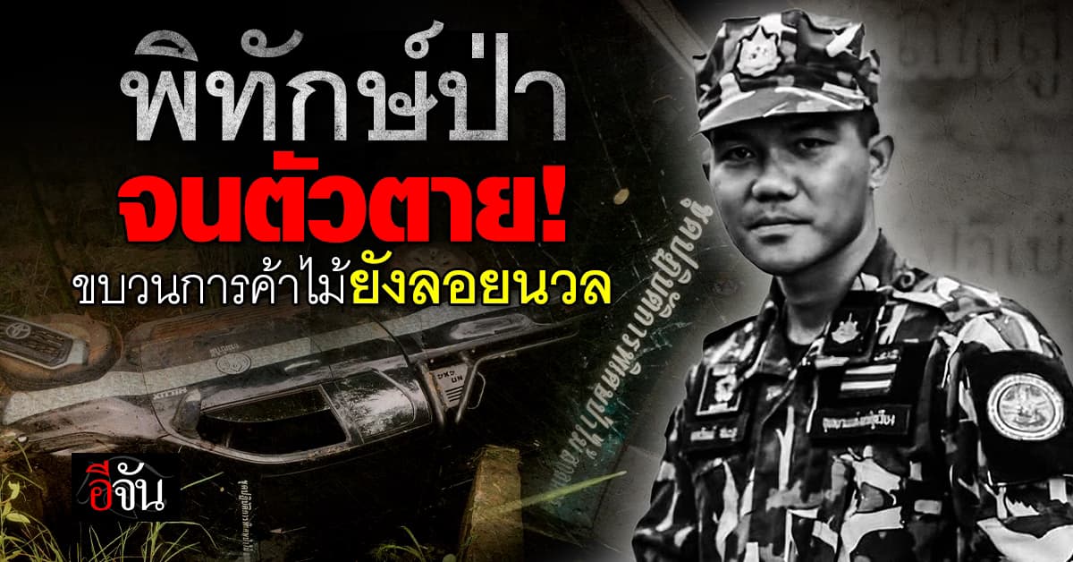 รมว.ทส. เสียใจ สูญเสียลูกน้องผู้พิทักษ์ป่า ขณะไล่ล่าขบวนการค้าไม้