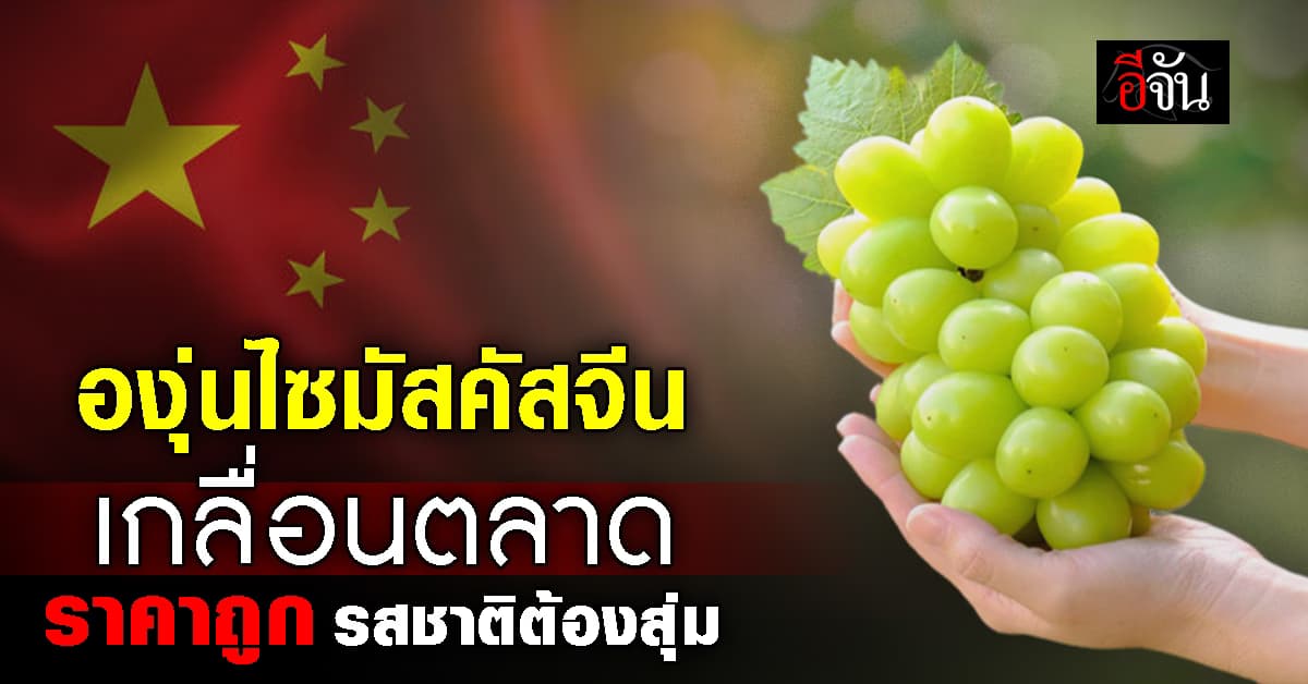 เกลื่อนห้าง ! องุ่นไซมัสคัส จากจีน ล้นตลาดไทย ขายราคาถูก แต่คุณภาพคนกินยังต้องสุ่ม