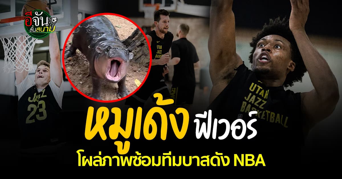 เด้งไกลทั่วโลก หมูเด้ง โผล่ภาพซ้อม ยูทาห์ แจ๊ซซ์ ทีมบาสเกตบอลดัง