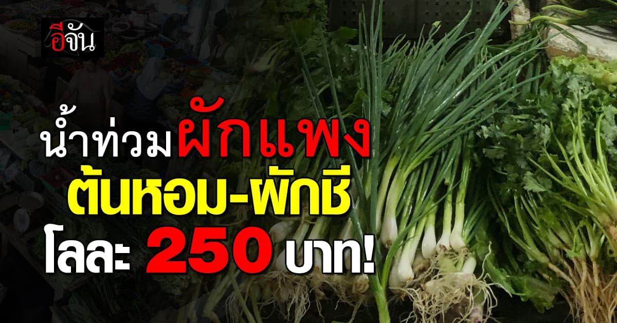 น้ำท่วมเหนือกระทบใต้ ดันผักราคาแพง ก่อนเข้าเทศกาลกินเจ