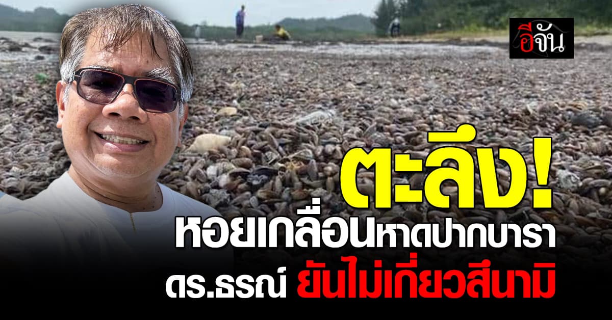 ดร.ธรณ์ ไขปริศนา หอยกะพงเกลื่อนหาดปากบารา ยัน ไม่เกี่ยวสึนามิ