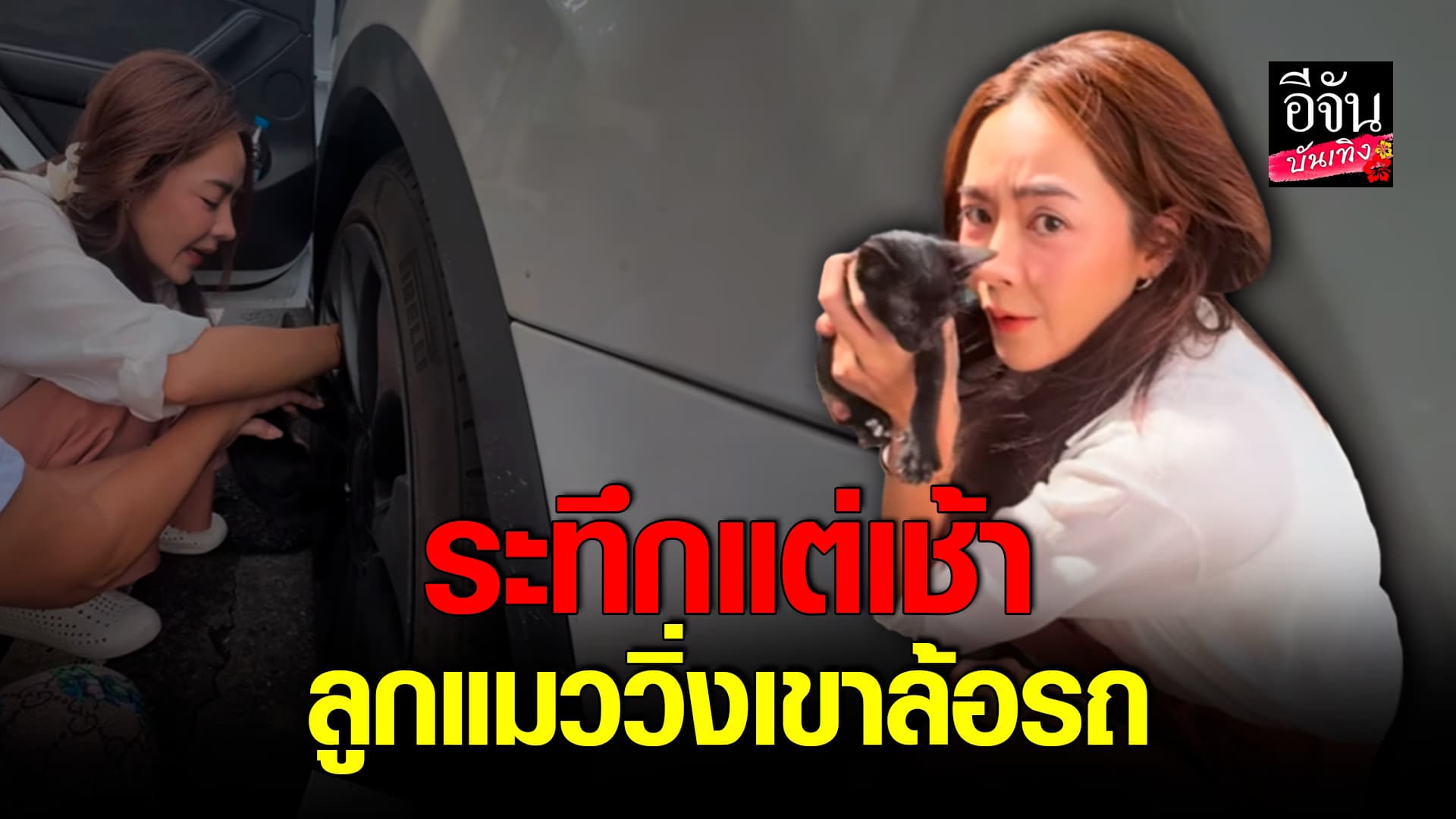 🎬คลิปบันเทิง : ปุยฝ้าย ณัฎฐพัชร์ เล่าวินาทีระทึก ช่วยลูกแมวน้อย ที่ติดอยู่ในล้อรถ