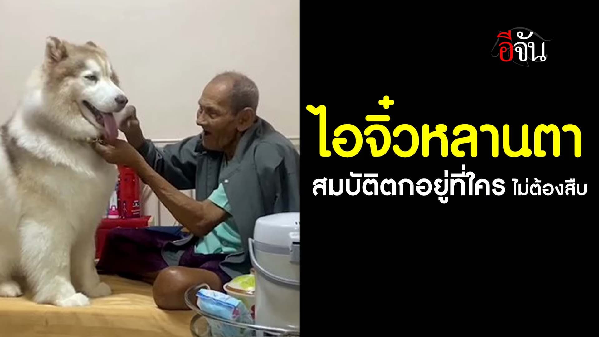 🎬 ไอจิ๋วหลานตา สมบัติตกอยู่ที่ใคร ไม่ต้องสืบ