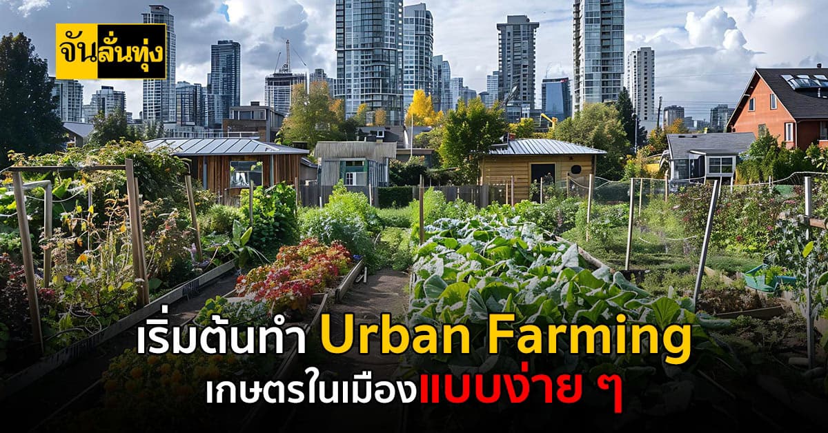 เริ่มต้นทำ Urban Farming เกษตรในเมืองแบบง่าย ๆ  