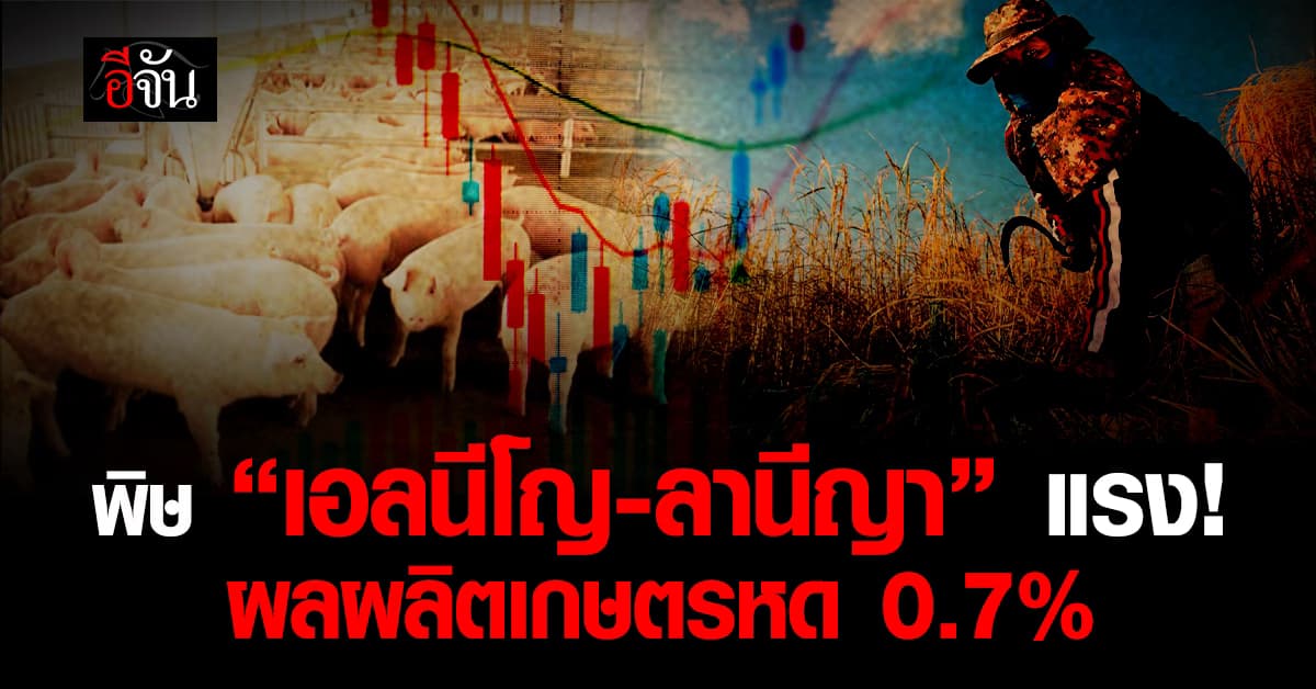 พิษร้าย เอลนีโญ-ลานีญา ฉุด GDP ด้านการเกษตร ไตรมาส 3 หดตัว 0.7%