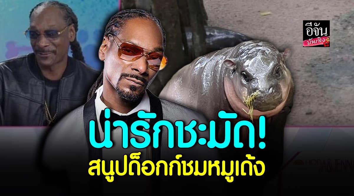 หมูเด้ง ดังไม่หยุด สนูปด็อกก์ ถึงกับเอ่ยปากชมว่าน่ารัก