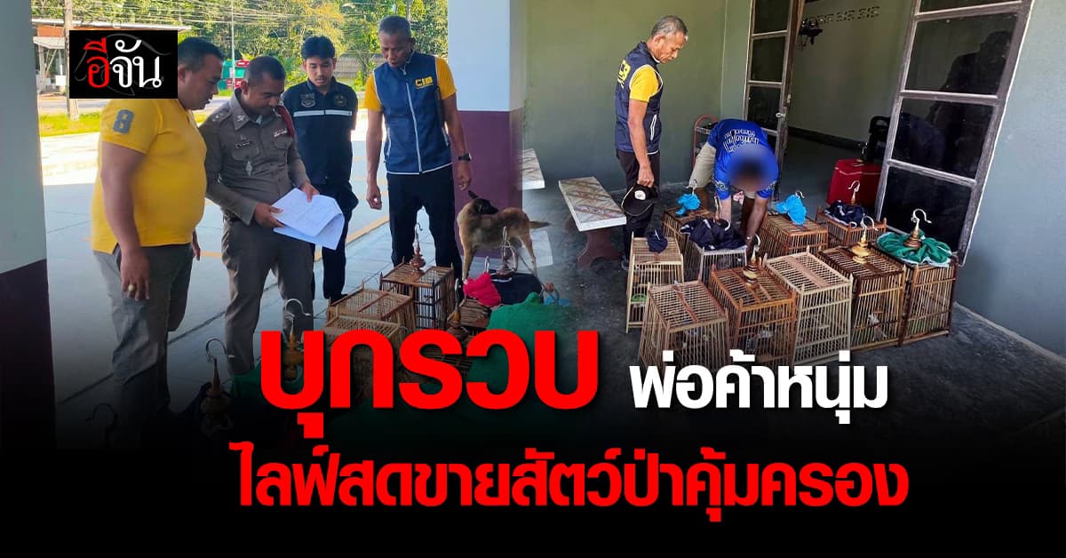 ตร.บุกรวบ พ่อค้าหนุ่ม ไลฟ์สดขาย นกกรงหัวจุก สัตว์ป่าคุ้มครอง