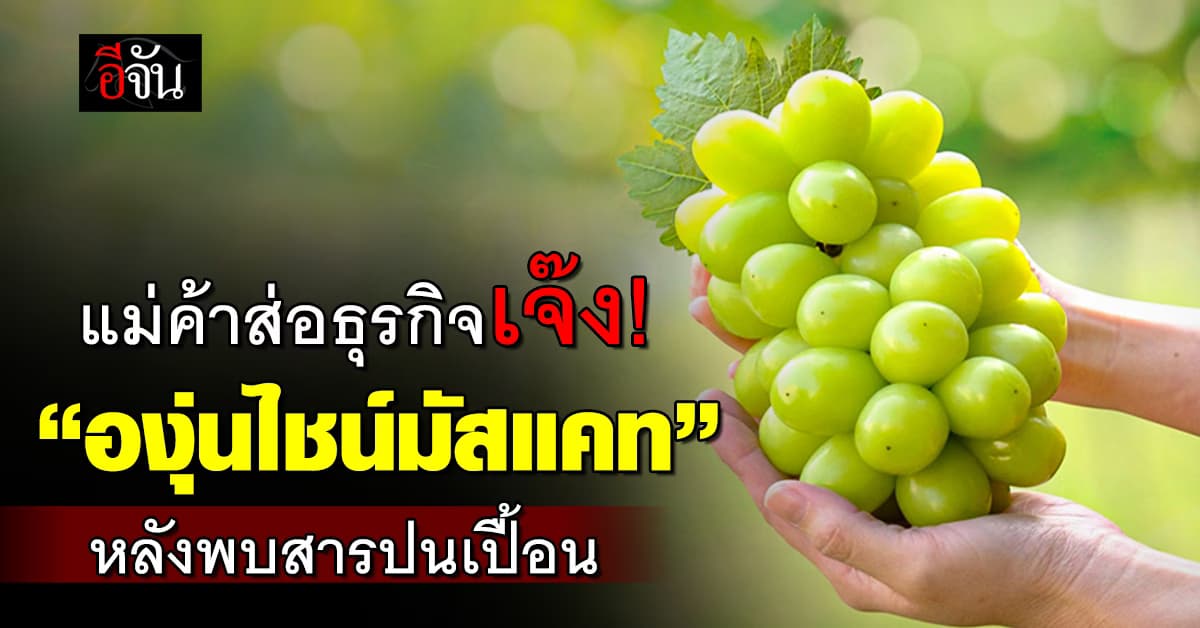 พ่อค้า-แม่ขาย “องุ่นไชน์มัสแคท” ธุรกิจเจ๊งระนาว หลังข่าวพบสารพิษ