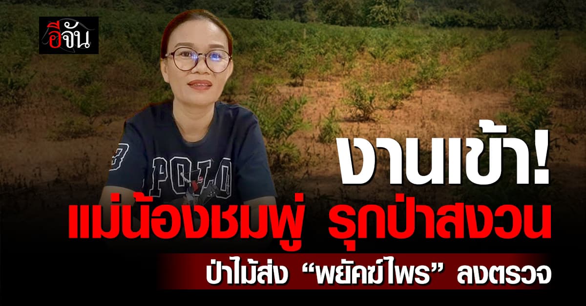 พยัคฆ์ไพร ลงตรวจสวนทุเรียน แม่น้องชมพู่ หลังมีคนแจ้ง รุกพื้นที่ป่าสงวน