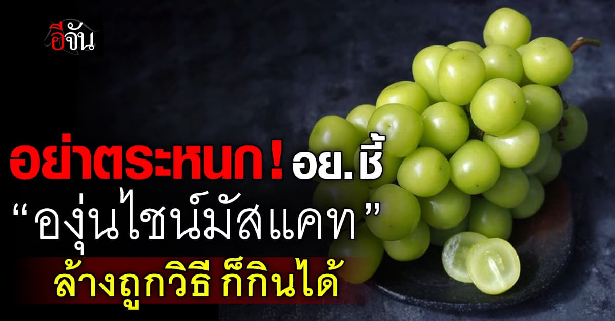 อย่าตระหนก! อย. ชี้ “องุ่นไชน์มัสแคท” กินได้ แค่ต้องล้างให้ถูกวิธี