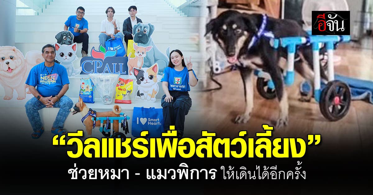 ซีพี ออลล์ จัดอบรม วีลแชร์เพื่อสัตว์เลี้ยง ช่วยหมา-แมว ให้กลับมาเดินได้อีกครั้ง