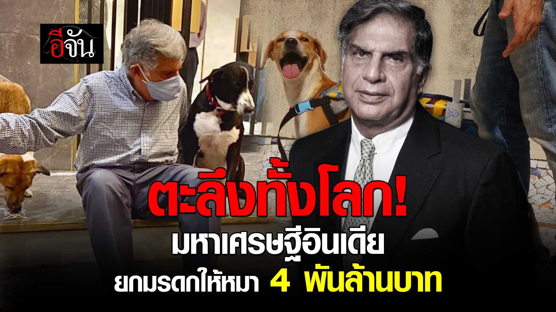 🎬 มหาเศรษฐีอินเดีย ยกมรดกให้หมา 4 พันล้านบาท