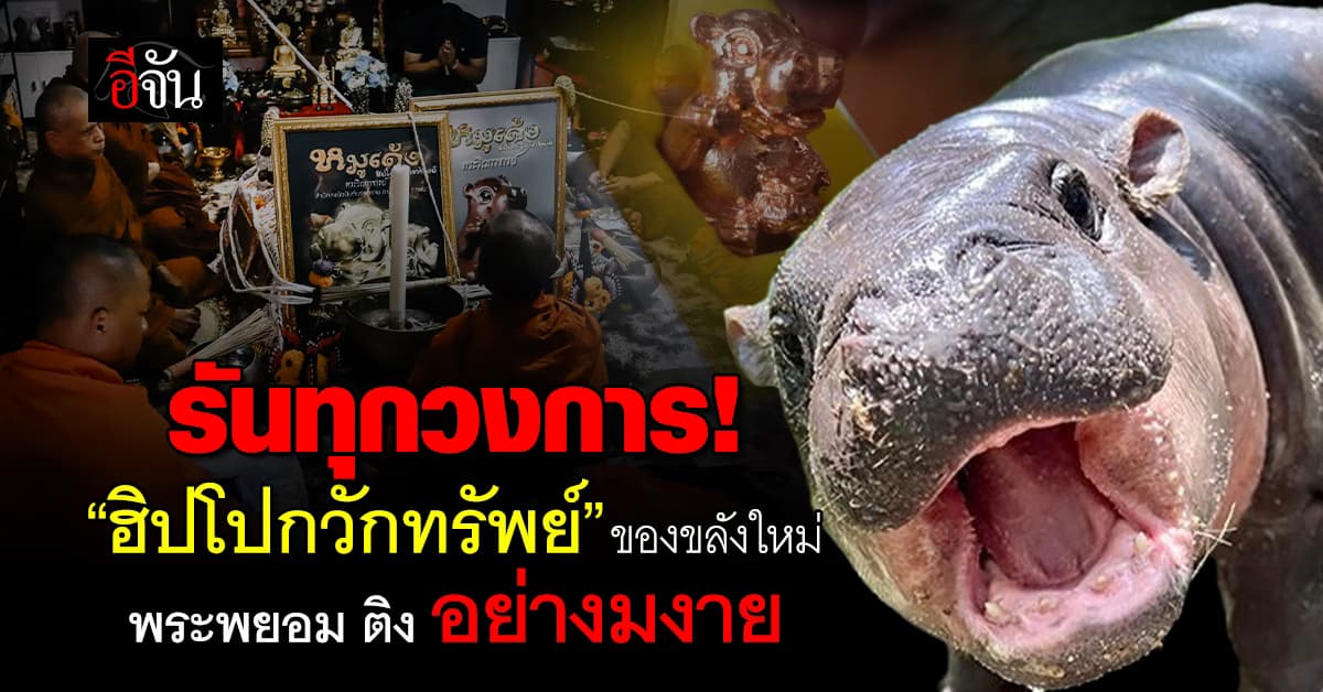 รันทุกวงการ ฮิปโปกวักทรัพย์ ของขลังใหม่เอาใจสายมู พระพยอม ติง อย่างมงาย