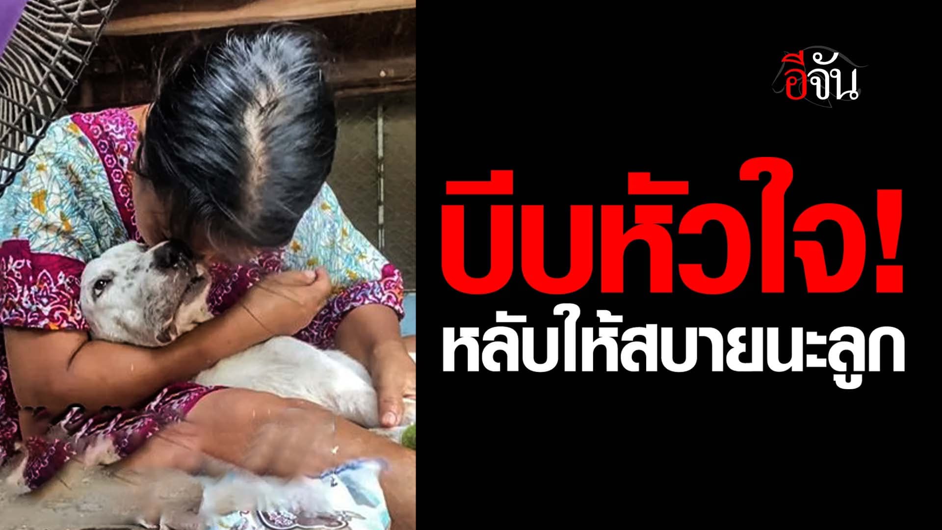 🎬 บีบหัวใจ! หลับให้สบายนะลูก