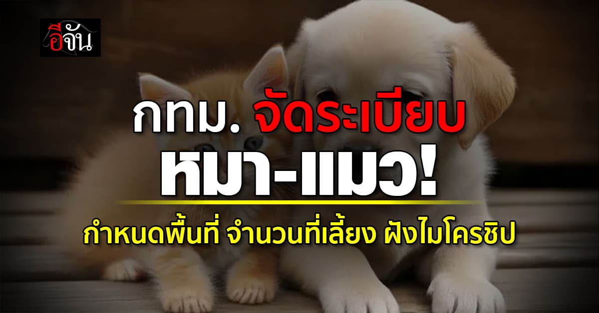 จัดระเบียบสัตว์เลี้ยง กทม. เตรียมกำหนดพื้นที่-จำนวน หมา แมว ที่เลี้ยงได้ หลังสภาผ่านร่างข้อบัญญัติ 