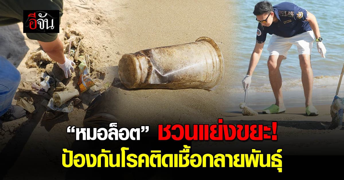 ขยะท่วมเมืองจนถึงทะเล “หมอล็อต” ชวนมา “แย่งขยะ” ป้องกันโรคติดเชื้อกลายพันธุ์