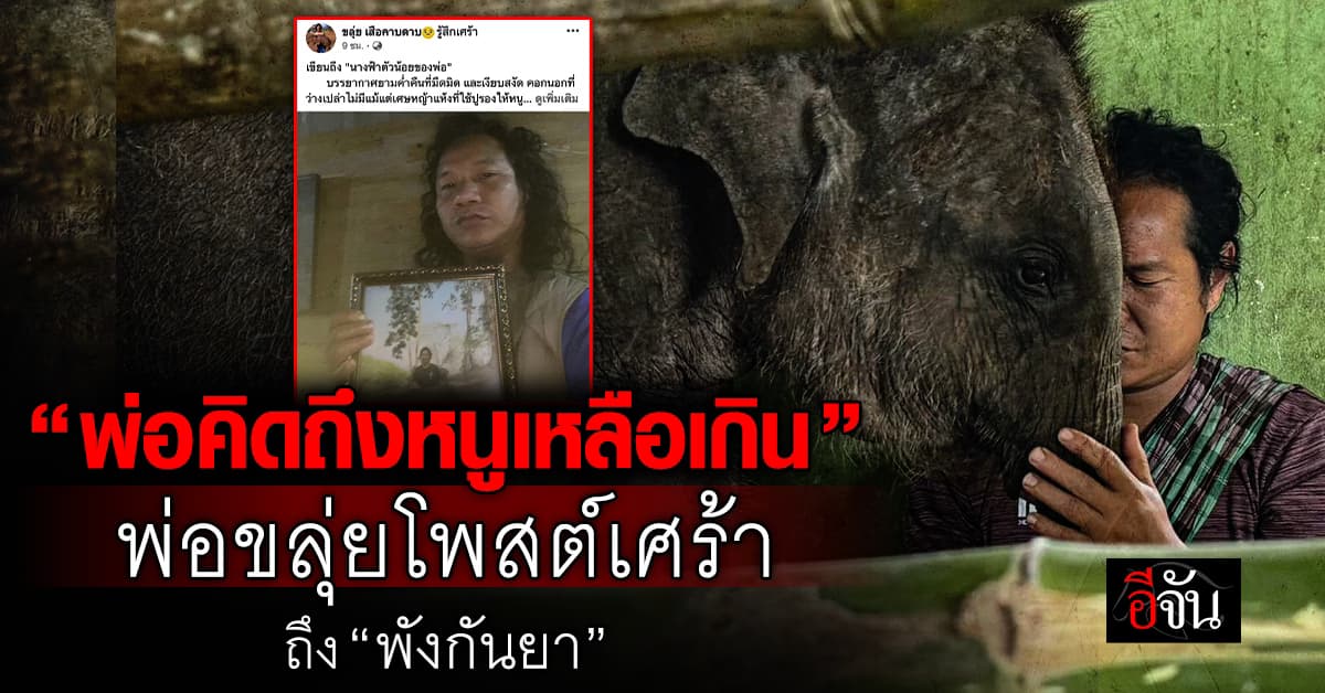 พ่อคิดถึงหนูเหลือเกิน เสียงของพ่อขลุ่ยควาญช้าง “พังกันยา” หลังสูญเสียลูกช้างคู่ใจ