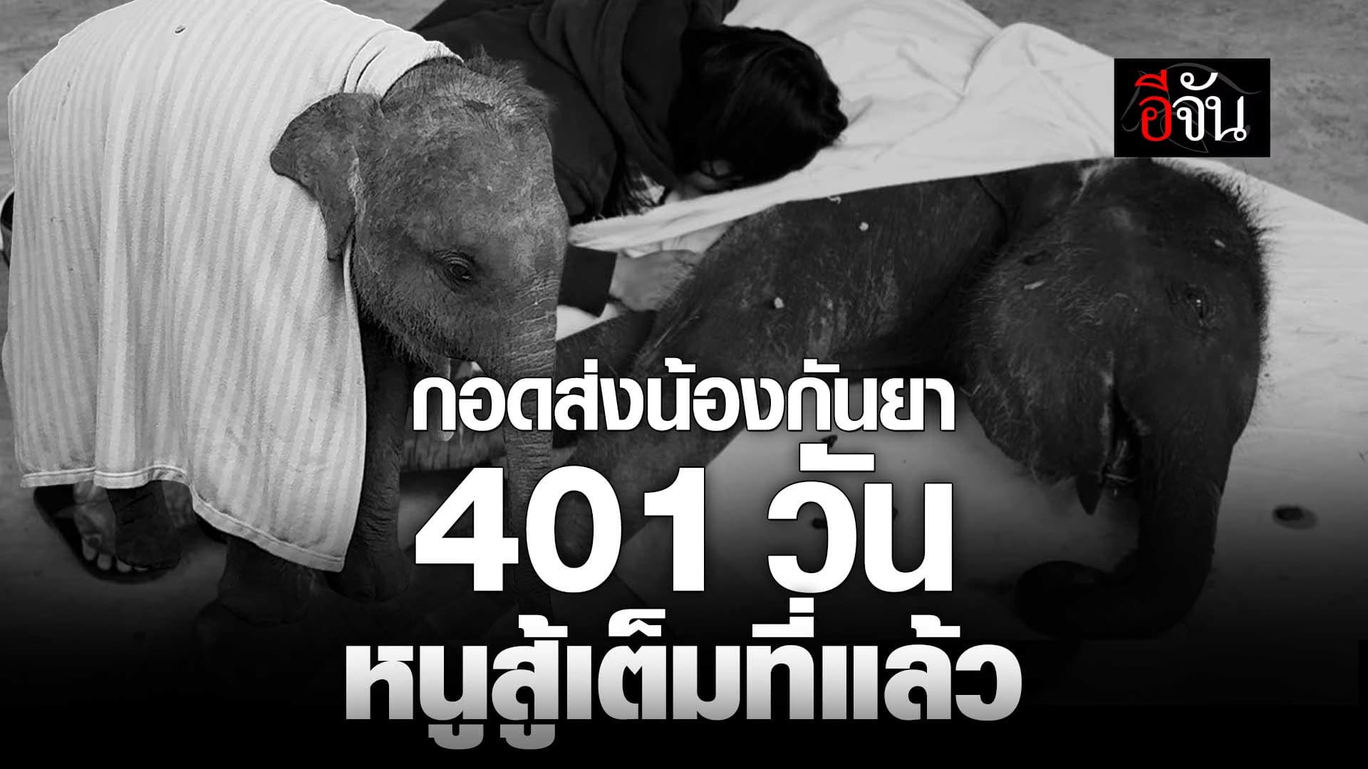 🎬 กอดส่ง พังกันยา 401 วัน หนูสู้เต็มที่แล้ว