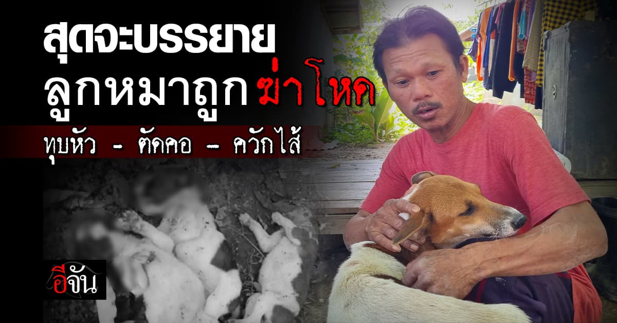 เกินคำจะบรรยาย ลูกหมา 4 ตัว ถูกฆ่า ทุบหัว-ตัดคอ-ควักไส้