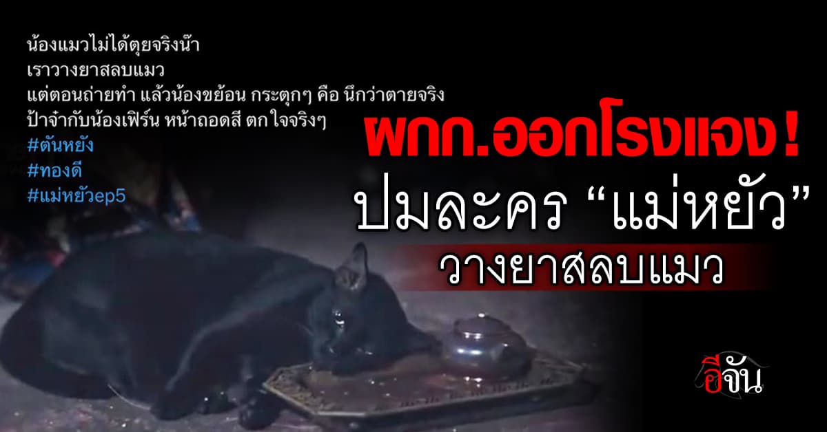 ผกก.ออกโรงแจงปมละคร “แม่หยัว” วางยาสลบแมวจริง หลังชาวเน็ตถล่มยับ