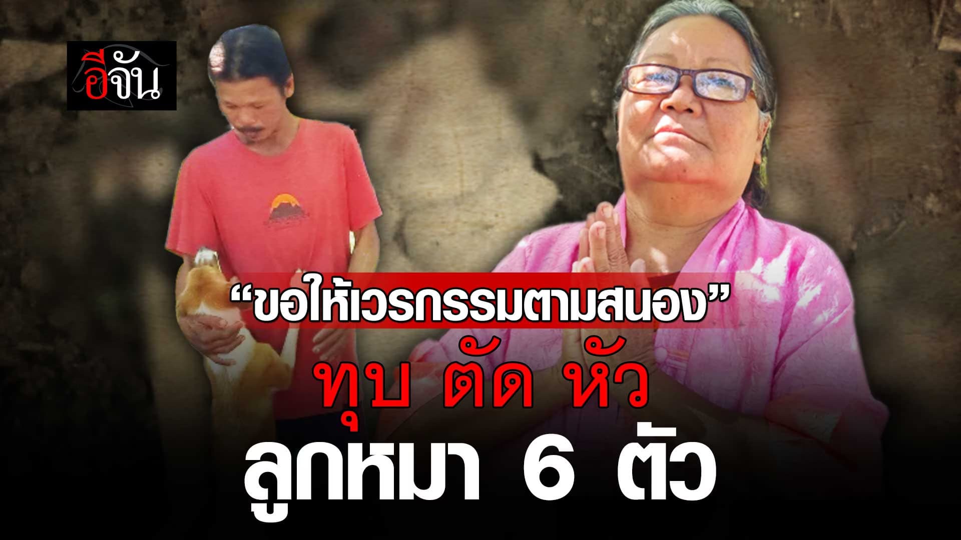 🎬 หมาทำอะไรผิด ? โดนคนใจร้าย ทิ้งซากให้ดูต่างหน้า