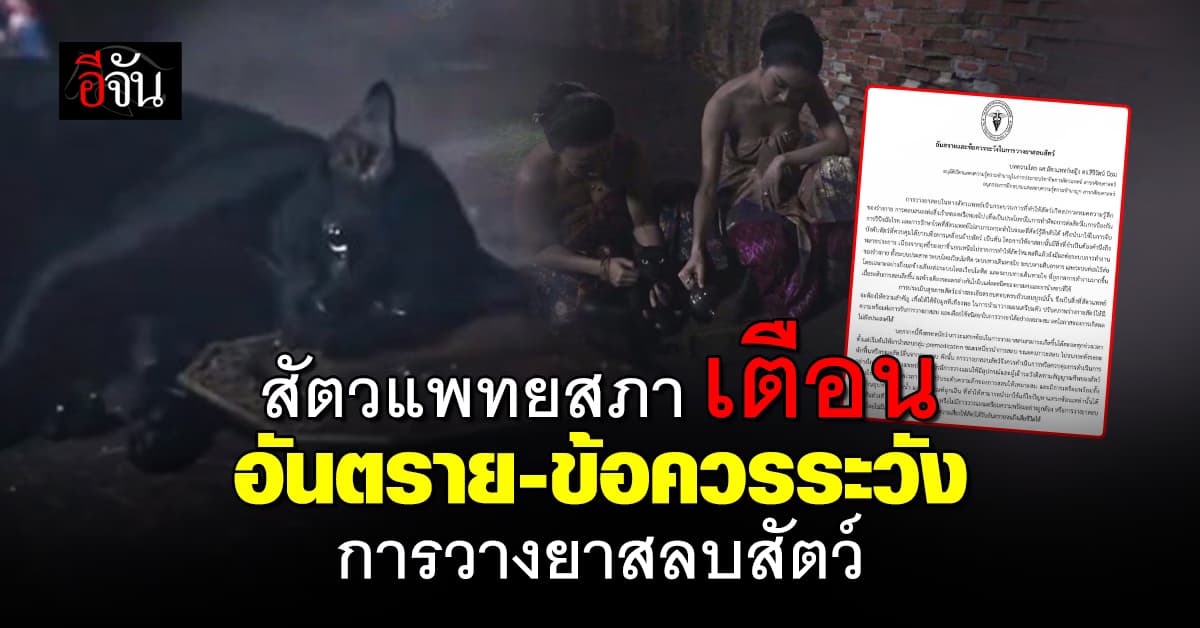 สัตวแพทยสภา เผยแพร่บทความ อันตรายและข้อควรระวังการวางยาสลบสัตว์