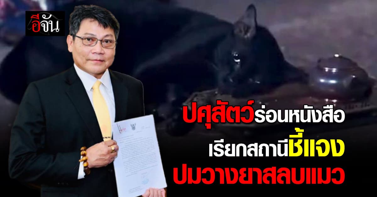 กรมปศุสัตว์ ร่อนหนังสือ เชิญสถานีดัง เข้าชี้แจงปม #วางยาสลบแมว