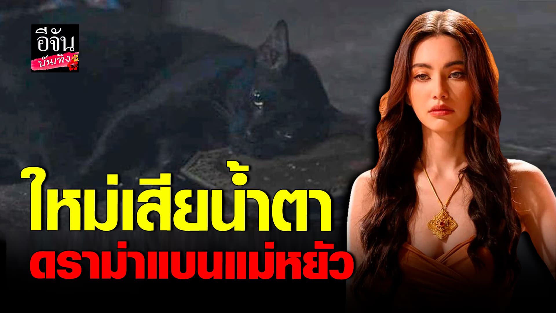 🎬คลิปบันเทิง : ใหม่ ดาวิกา โพสต์เศร้าเสียน้ำตา หลังเจอทัวร์ลง ดราม่าแบนแม่หยัว