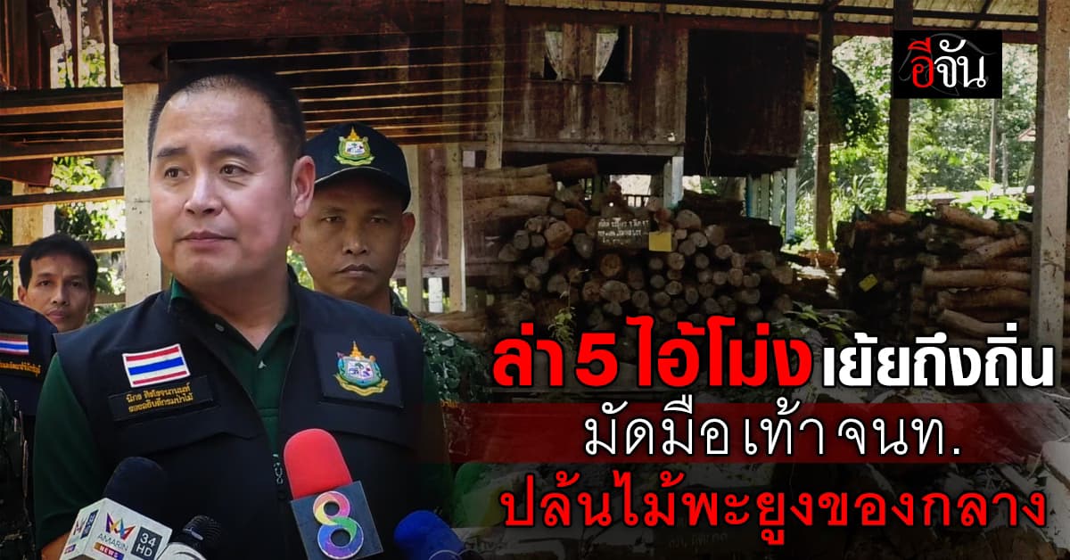 ล่า 5 ไอ้โม่ง ปล้นไม้พะยูงของกลาง : สกลนคร