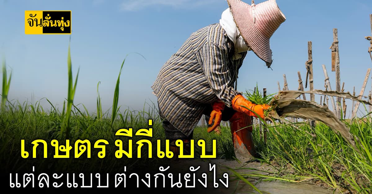 การทำเกษตร มีกี่แบบ แต่ละแบบต่างกันยังไง