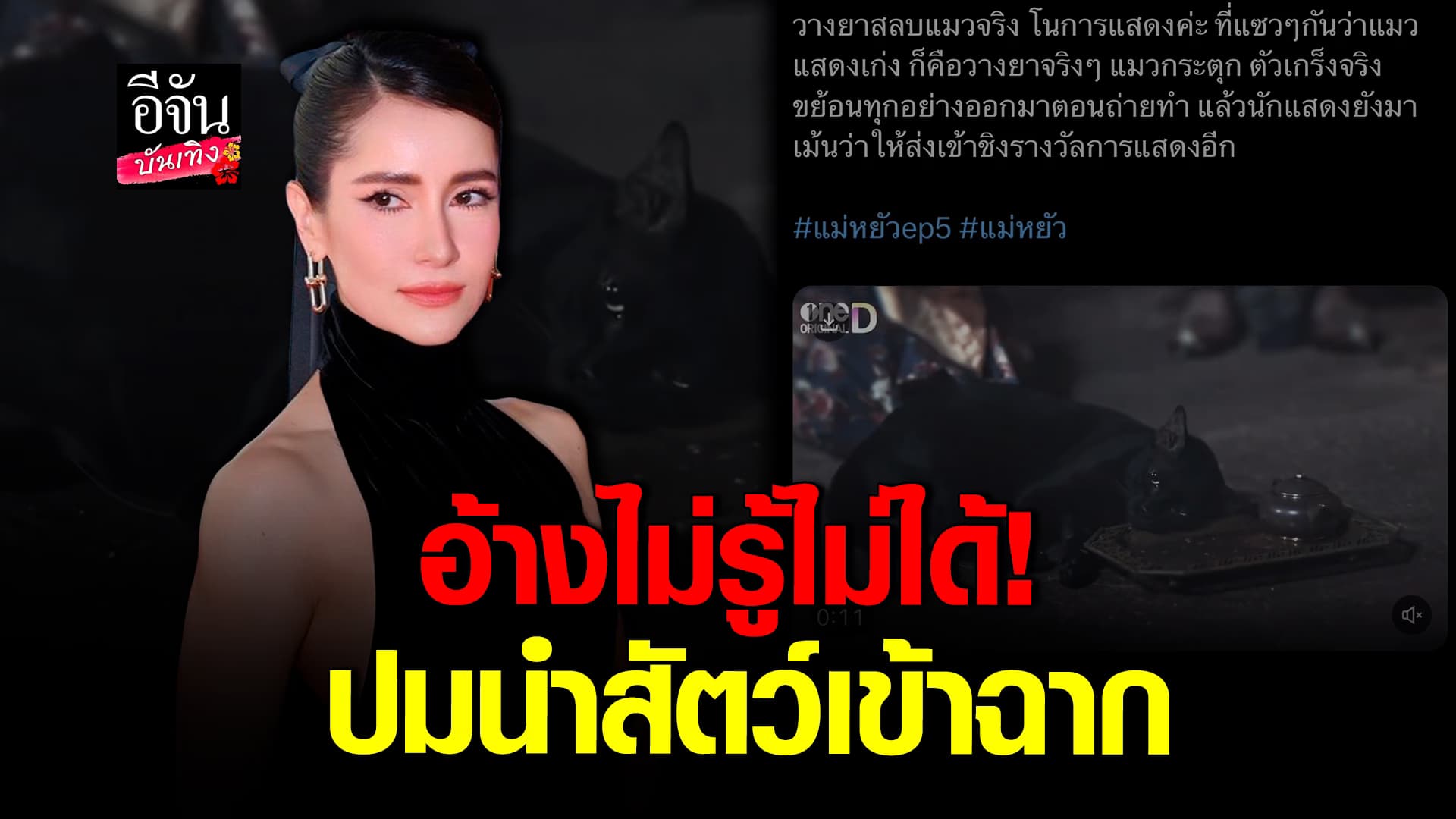 🎬คลิปบันเทิง : แอน ทองประสม ตอบปมดราม่าร้อน พาสัตว์เขาฉาก ห่วงเพื่อน นัทมีเรีย ป่วยเนื้องอก ส่งกำลังใจตลอด