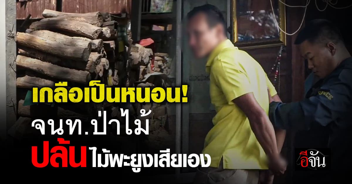 ตร.รวบหัวโจก แก๊งไอ้โม่งปล้นไม้พะยูง ที่แท้ เกลือเป็นหนอน จนท.ปล้นไม้เสียเอง