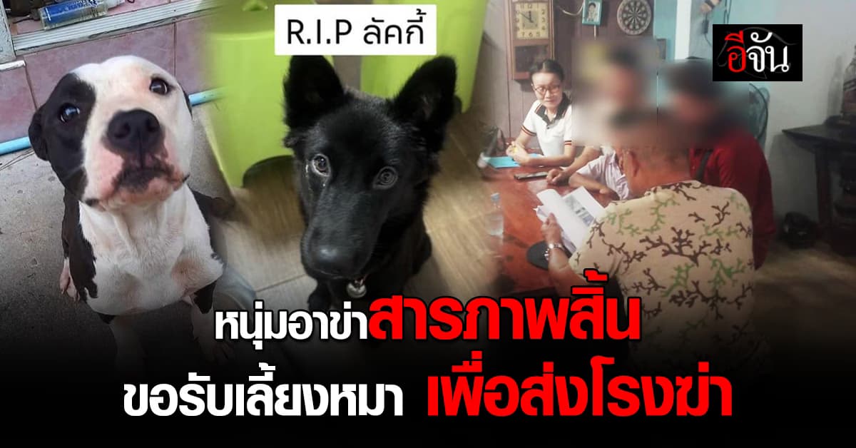 สะเทือนใจคนรักสัตว์! หนุ่มอาข่าสารภาพสิ้น ขอรับหมามาเลี้ยงเพื่อส่งโรงฆ่า 