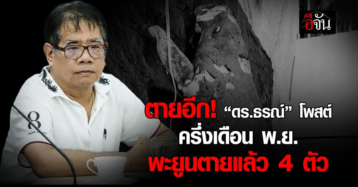 ตายอีก! “ดร.ธรณ์” โพสต์ ครึ่งเดือน พ.ย. พะยูนตายแล้ว 4 ตัว