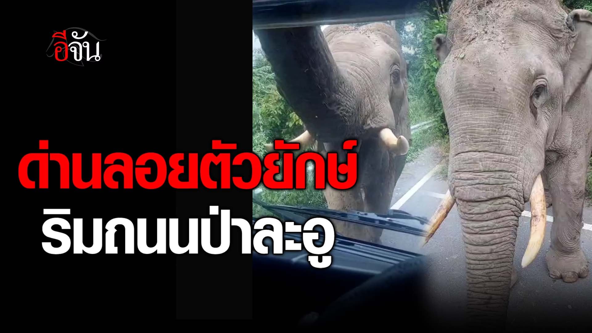 🎬 ด่านลอยตัวยักษ์ ริมถนนป่าละอู